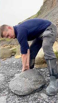 We came across a HUGE shale landslide filled with rocks containing fossils! 🏝️