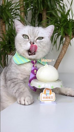 🤔Have You Ever Eaten Milk Buns Like This?🥛🤤#catsofyoutube #foodlover #tiktok
