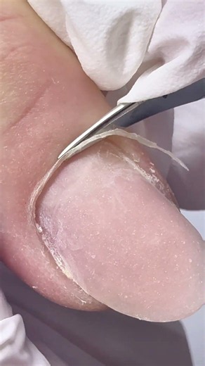 One Line, No Stops — Cuticle Scissors ASMR