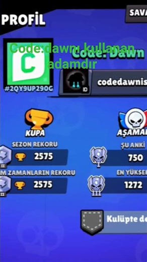 code:dawnı kullananı ark ekliom🤍