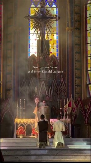 #santamaria #maededeus #catolico