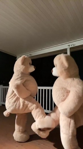 Dancing Bear - Charmin MamaBear Dance in Quarantine