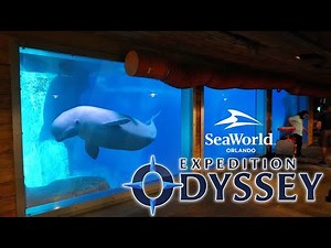 Zoo Tours: Expedition Odyssey | SeaWorld Orlando (RIDE POV & EXHIBITS)