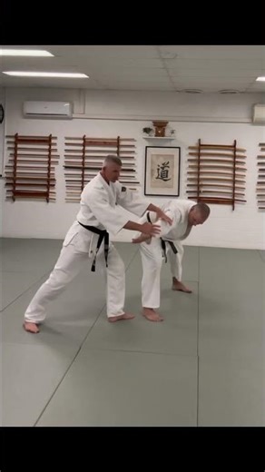 IKKAJO and alignment and angular exploitation employing basic movement ‘Hiriki no yosei’.