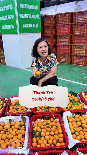 Thanh trà thái siêu rẻ 240kk/ rổ7kg kính mời #phuongtoanlongbien #hoaquaphuongtoan #videoviral #xuhuongtiktok #review