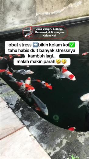 Create Your Own Koi Pond: Stress Relief Through Design