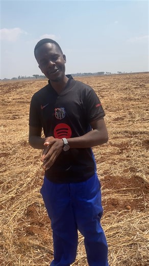 Agriculture it’s not for the faint hearted!If you want to do gambling you better try betting otherwise it will end in tears .You need to have passion for what ever you are going to do ,taking agriculture as a business,prepared to grow gradually,prepared to learn the hard way .Anything can happen anytime unexpectedly but as a farmer you need to be strong .Those farmers you see driving gd6 ,having a lot of cow s and other wealth they have come a long way .Agriculture teaches you to be patient with