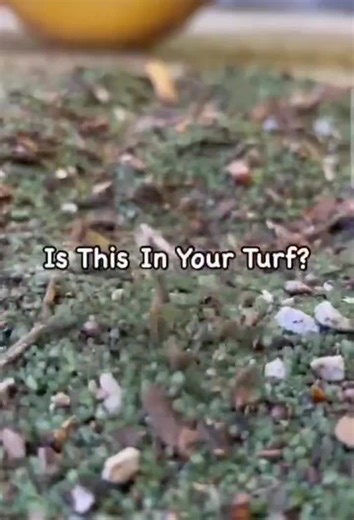 Is This In Your Turf?Infill is an additive that is used by older artificial turf systems that claims to improve the durability of the turf, but what does it really do? Infill can come in a variety… | AGL Grass Ottawa
