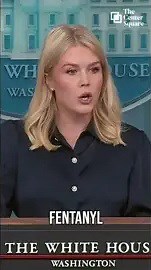 Press Sec. Leavitt: “Mexico Is Still Paying Tariffs.”