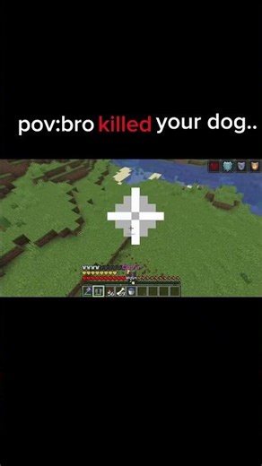 Pov Bro Killed Your Dog#minecraft