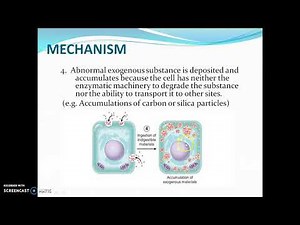 Lecture Intracellular accumulations part 1 of 2
