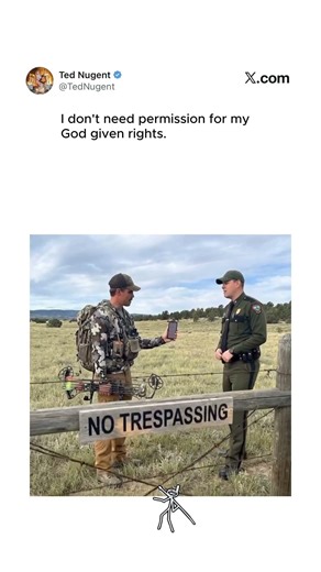 Who do you answer to?