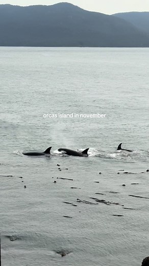 Discovering Orcas Island in November