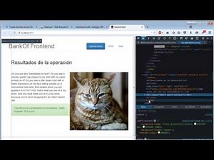 Tests funcionales con Selenium