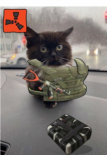 #rust #facepunch #edit #clips