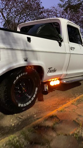 Chevrolet D10 e Camionete: Modelos Antigos e Personalizados