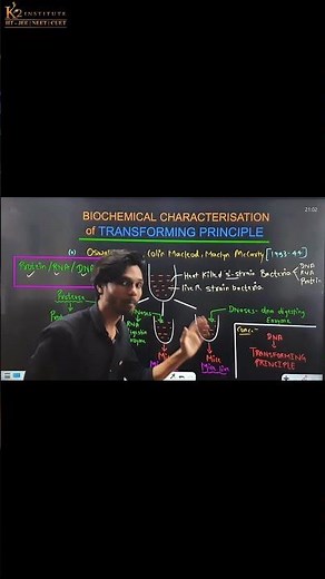 Biochemical Characterisation of Transforming Principle: Molecular Basis of Inheritance | Class 12