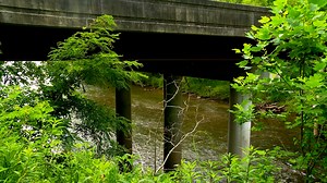 Woman dies, husband and child injured after tree falls on canoe, officials say