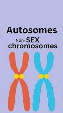 Genes, Locus, Allele, and Autosomes: What?
