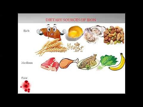 Haematinics Pharmacology