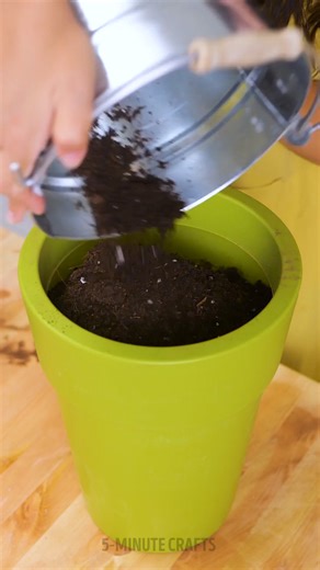 12 Smart gardening tips to make your harvest rich! | 5-Minute Crafts