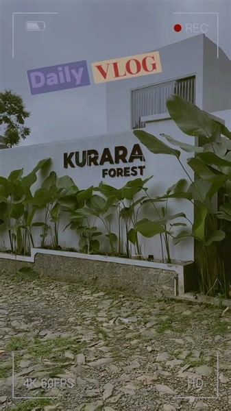 📍kurara forest, batang.
