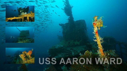 Wrecks of Ironbottom Sound, Part III - USS Aaron Ward