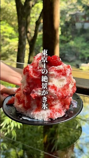え、東京1の絶景かき氷？！