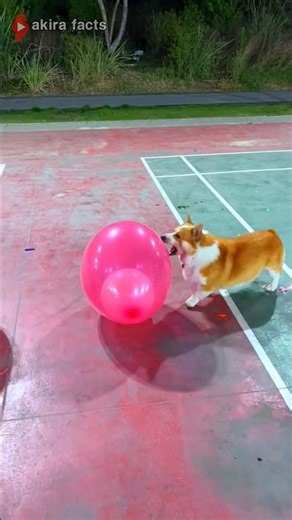 I am practicing bursting balloon 🎈| #shorts #trending