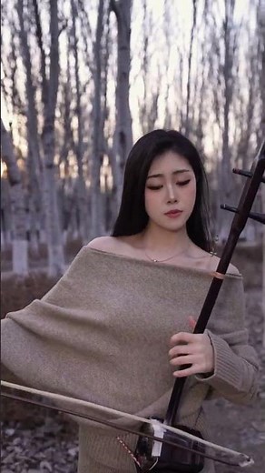 🎻 Traditional Erhu Performance That Sounds Unreal#relaxingmusic #chinesemusic #二胡#二胡演奏