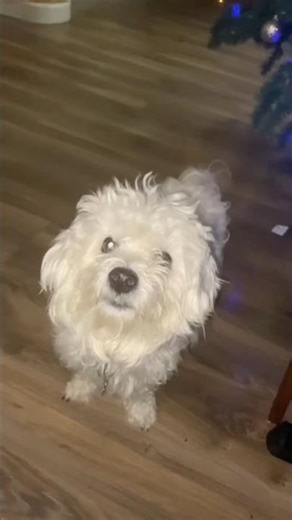 Suge Is Too Smart for His Own Good 🥹 #Shorts