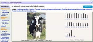 Which Animals Have Genome Projects? | Science Project