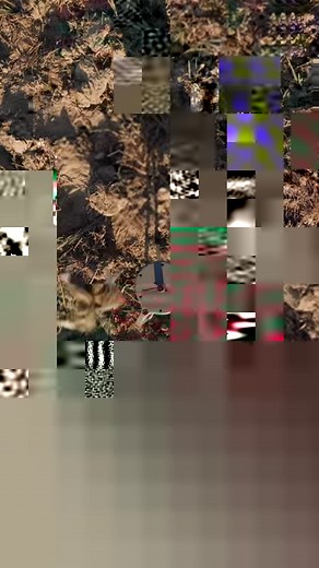 Bring your predators in close with the high sound quality of the MOJO Triple Threat 2, available now! #MOJOTV #MOJOOutdoors #MOJOPredator | Mojo TV