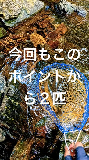 今回もこのポイントから2匹 #テンカラ #tenkara #釣り #fishing