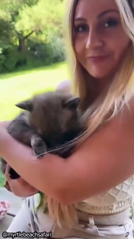 Heartfelt Look at the Deep Bond Between Humans and Animals