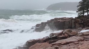 Monster surf viewed from road level at Thunder Hole in Acadia National Park today. With wind gusts reaching up to 40mph today it made for a powerful show on the shoreline. Remember to always exercise caution during stormy weather and enjoy the surf from a safe distance. Video: Julia Walker Thomas//Friends of Acadia | Friends of Acadia