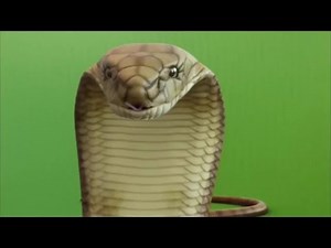 greenscreen snake attack