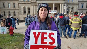 Michigan Senate Democrats on Reels