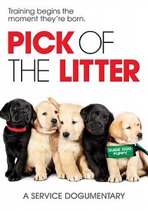 Pick of the Litter Trailer