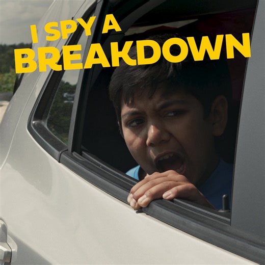 Have you herd about our app? 🐮 Report breakdowns and more. | The AA UK