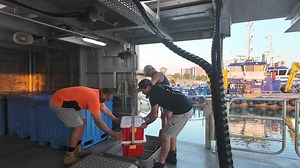 79K views · 612 reactions | Unloading premium Mermaid Shoal seafood. We are in port for a couple of days to get some maintenance done and load on some more traps before heading back out there. Good shake down trip for us and I'm looking forward to getting into the rhythm of this fishery. Austral Fisheries Mermaid Shoal | Tk Offshore Fishing | Facebook