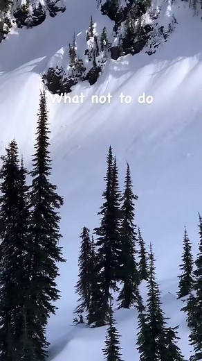 @snowestmagazine•😳😳😳Via @sledderwes on @summitmotorsports After ripping all the needles off that last branch I remember hearing my sled catch it’s skis behind me and start picking up speed. Not knowing what I should worry about more the cliff coming fast or my sled coming fast. Right then I heard the sled clip a tree right behind my head and knew the cliff was happening. I figured a couple seconds of hang time to landing on hopefully powder was the only outcome so I rolled off to the left bef