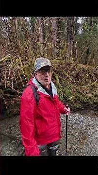 Trail Camera Mystery. What Happened?