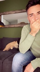15K views · 575 reactions | Non bastavo IO di matto. Mi ci mancava solo il cane…  #myzoe #pazza #maltipoo #maltipoodle #maltipoopuppy #maltipoogram #convivenza | Fabio De Vivo | Facebook