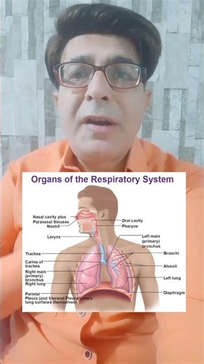 Phonetics || How speech sounds are articulated