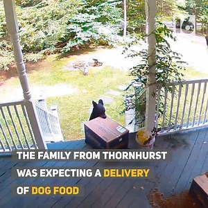 "This is mine now." Full story >> http://via.wnep.com/y21Ki | WNEP-TV