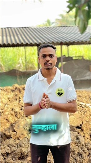 आत्ताच subscribe करा ❤️🍃 | DB Organics #vermicompost