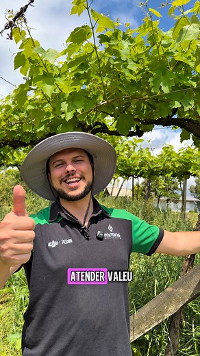 15 reactions | Drones na cultura da uva! Os drones agrícolas da DJI vão reduzir seu custo e aumentar sua produção.✅ | Farming Solutions | Facebook