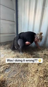 The hay net hack! #horse #haynethack