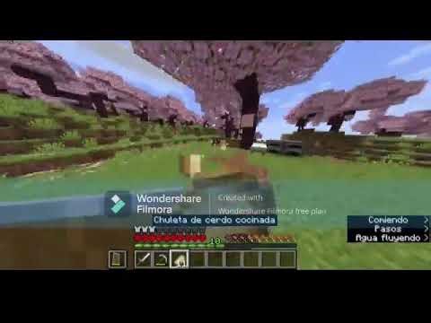 CosAS INTERESANTES QUE PASO EN MI MUNDO DE MINECRAFT JAVA